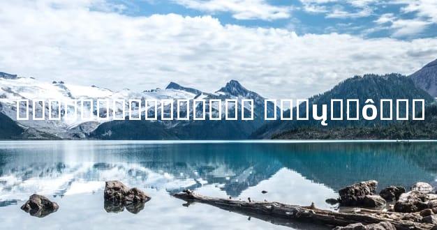 ͨ��˫����״����Ƹ� ���ų�ʲô��״